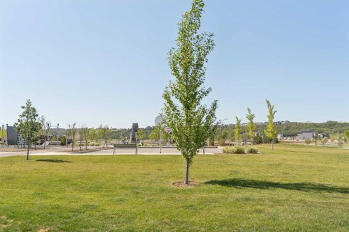 218-55 Wolf Hollow Crescent Se, Calgary, AB 