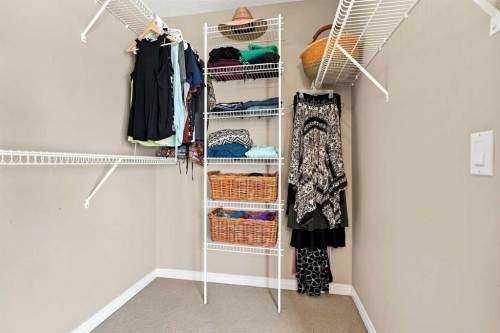 5355 Copperfield Gate Se, Calgary, AB - Indoor With Storage