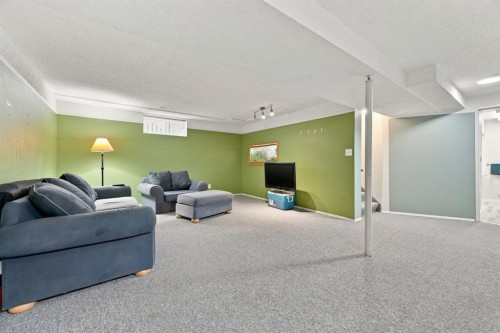 55 Macewan Park Way Nw, Calgary, AB - Indoor Photo Showing Basement