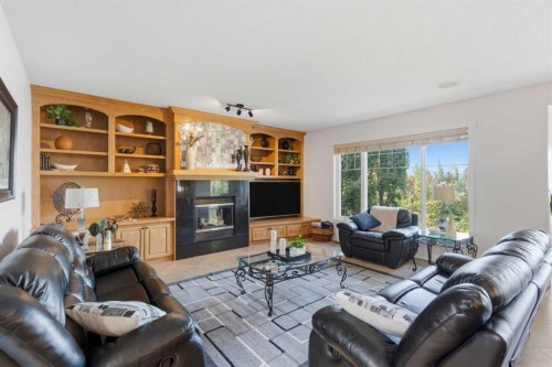39 Chapala Terrace Se, Calgary, AB - Indoor Photo Showing Living Room With Fireplace