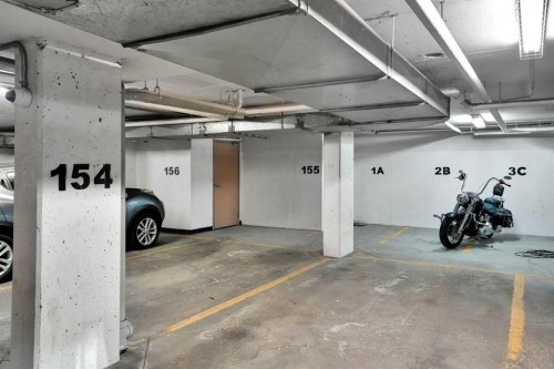 1407-8 Bridlecrest Drive Sw, Calgary, AB - Indoor Photo Showing Garage