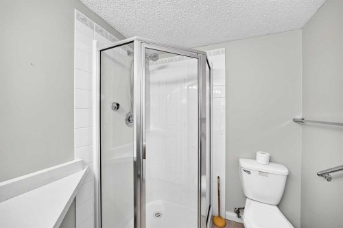1109-1109 Hawksbrow Point Nw, Calgary, AB - Indoor Photo Showing Bathroom