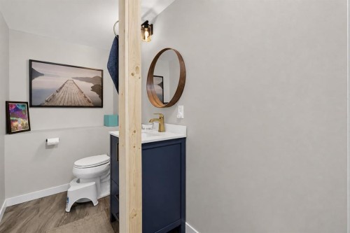 725 New Brighton Drive Se, Calgary, AB - Indoor Photo Showing Bathroom