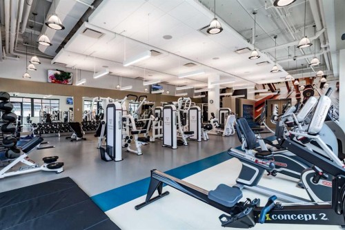 219-12 Mahogany Path Se, Calgary, AB - Indoor Photo Showing Gym Room