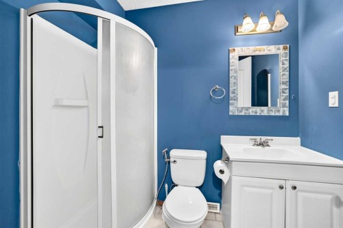 54 Coral Springs Court Ne, Calgary, AB - Indoor Photo Showing Bathroom