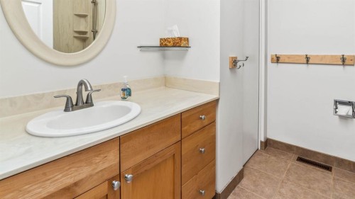 1027 Lake Sylvan Drive Se, Calgary, AB - Indoor Photo Showing Bathroom