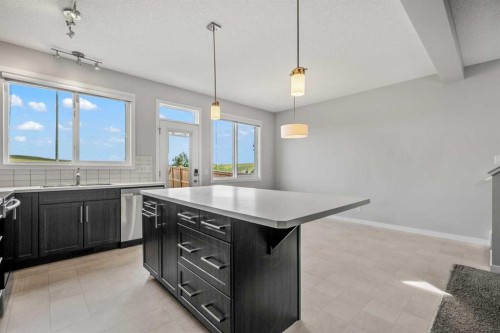 244 Sundown View, Cochrane, AB - Indoor Photo Showing Kitchen