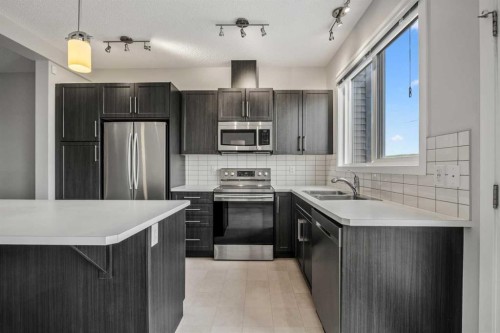 244 Sundown View, Cochrane, AB - Indoor Photo Showing Kitchen With Stainless Steel Kitchen With Double Sink With Upgraded Kitchen
