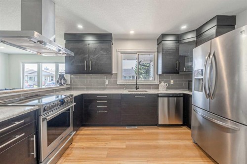 20 Castlegrove Way Ne, Calgary, AB - Indoor Photo Showing Kitchen With Stainless Steel Kitchen With Upgraded Kitchen
