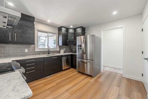 20 Castlegrove Way Ne, Calgary, AB - Indoor Photo Showing Kitchen With Stainless Steel Kitchen