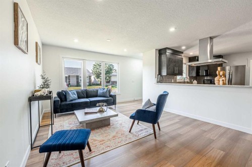 20 Castlegrove Way Ne, Calgary, AB - Indoor Photo Showing Living Room