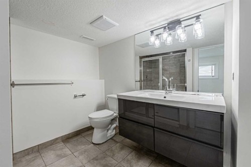 20 Castlegrove Way Ne, Calgary, AB - Indoor Photo Showing Bathroom