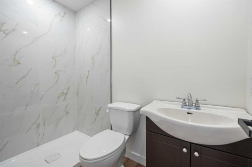 20 Castlegrove Way Ne, Calgary, AB - Indoor Photo Showing Bathroom