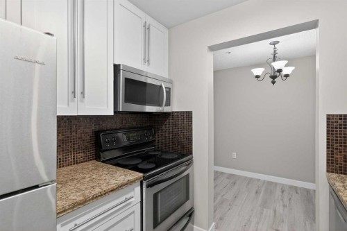 116-790 Kingsmere Crescent Sw, Calgary, AB - Indoor Photo Showing Kitchen