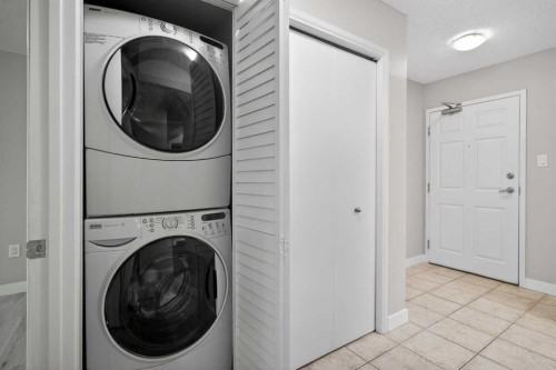 116-790 Kingsmere Crescent Sw, Calgary, AB - Indoor Photo Showing Laundry Room