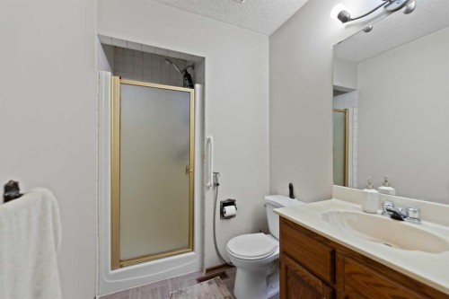 48 Castleglen Court Ne, Calgary, AB - Indoor Photo Showing Bathroom