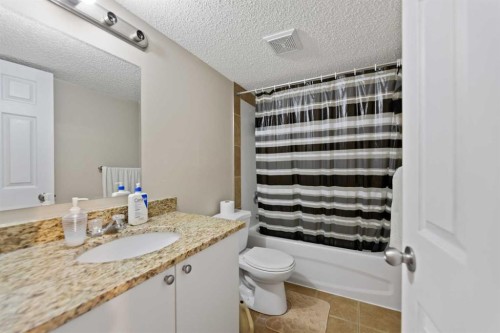 48 Castleglen Court Ne, Calgary, AB - Indoor Photo Showing Bathroom