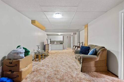 48 Castleglen Court Ne, Calgary, AB - Indoor