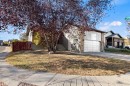 48 Castleglen Court Ne, Calgary, AB  - Outdoor 
