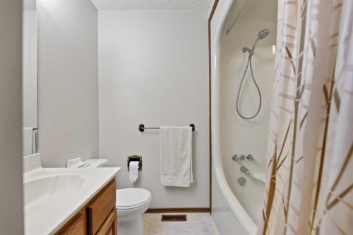 48 Castleglen Court Ne, Calgary, AB - Indoor Photo Showing Bathroom