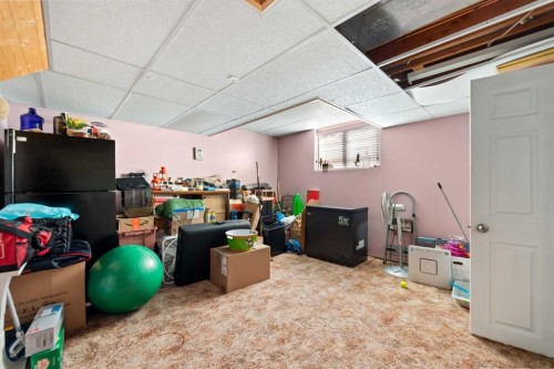 48 Castleglen Court Ne, Calgary, AB - Indoor