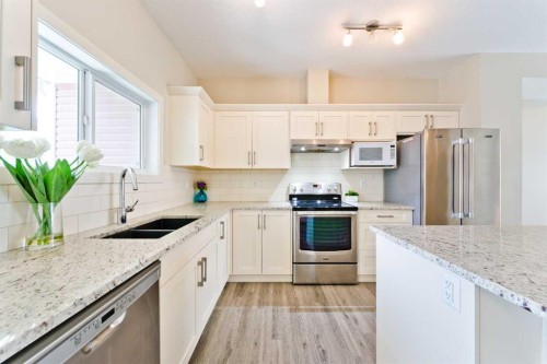373 Nolancrest Heights Nw, Calgary, AB - Indoor Photo Showing Kitchen With Double Sink With Upgraded Kitchen