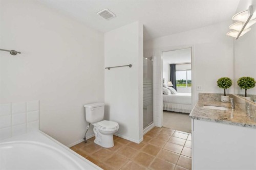 74 Spring View Sw, Calgary, AB - Indoor Photo Showing Bathroom