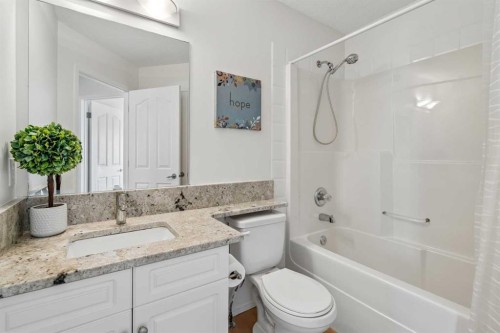 74 Spring View Sw, Calgary, AB - Indoor Photo Showing Bathroom