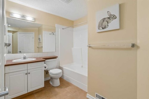 74 Spring View Sw, Calgary, AB - Indoor Photo Showing Bathroom