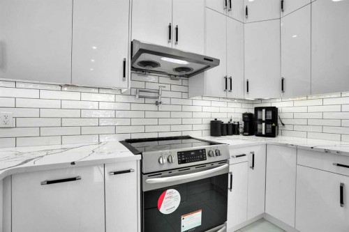 4508 87 Avenue Ne, Calgary, AB - Indoor Photo Showing Kitchen With Upgraded Kitchen