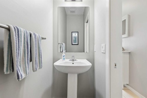 246 Mahogany Heights Se, Calgary, AB - Indoor Photo Showing Bathroom