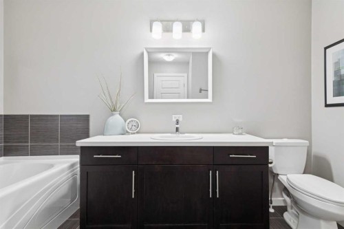246 Mahogany Heights Se, Calgary, AB - Indoor Photo Showing Bathroom