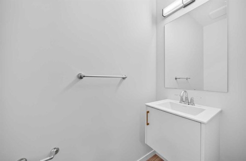 344 Herron Landing Ne, Calgary, AB - Indoor Photo Showing Bathroom