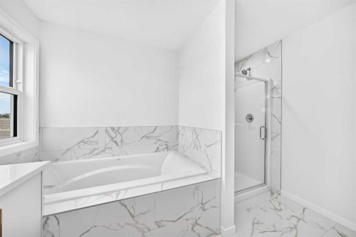 344 Herron Landing Ne, Calgary, AB - Indoor Photo Showing Bathroom