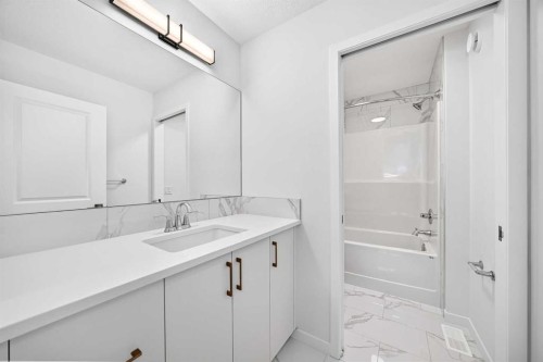 344 Herron Landing Ne, Calgary, AB - Indoor Photo Showing Bathroom