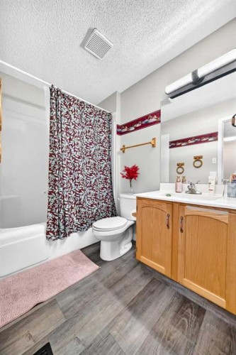 92 San Diego Green Ne, Calgary, AB - Indoor Photo Showing Bathroom