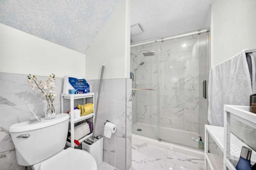 92 San Diego Green Ne, Calgary, AB - Indoor Photo Showing Bathroom