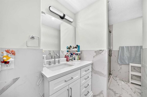 92 San Diego Green Ne, Calgary, AB - Indoor Photo Showing Bathroom