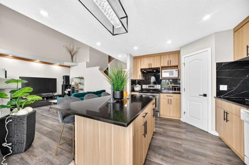 92 San Diego Green Ne, Calgary, AB - Indoor Photo Showing Kitchen With Double Sink