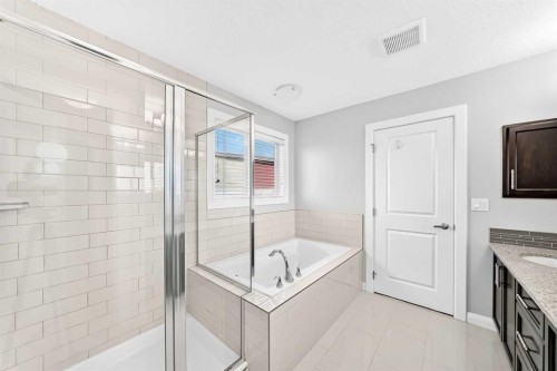 27 Redstone Heights Ne, Calgary, AB - Indoor Photo Showing Bathroom