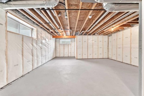 27 Redstone Heights Ne, Calgary, AB - Indoor Photo Showing Basement
