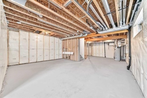 27 Redstone Heights Ne, Calgary, AB - Indoor Photo Showing Basement