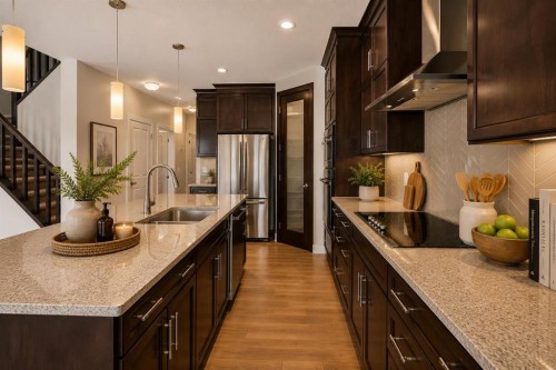 27 Redstone Heights Ne, Calgary, AB - Indoor Photo Showing Kitchen With Stainless Steel Kitchen With Upgraded Kitchen