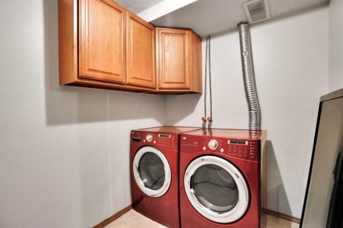 158 Saratoga Close Ne, Calgary, AB - Indoor Photo Showing Laundry Room