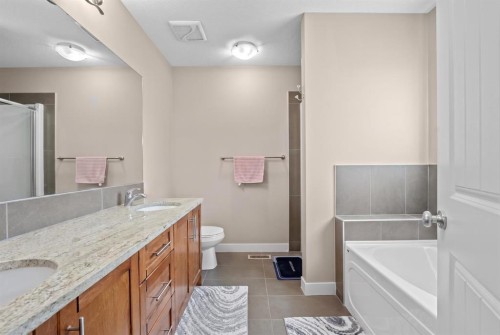 234 Covebrook Court Ne, Calgary, AB - Indoor Photo Showing Bathroom