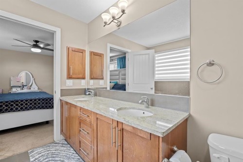 234 Covebrook Court Ne, Calgary, AB - Indoor Photo Showing Bathroom