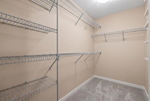 234 Covebrook Court Ne, Calgary, AB - Indoor With Storage