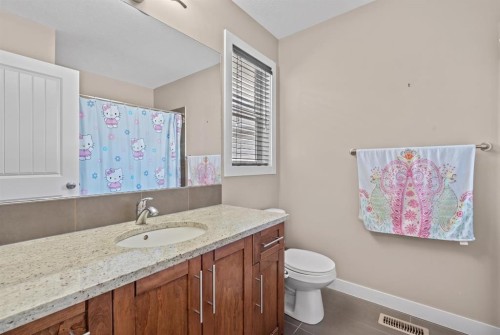 234 Covebrook Court Ne, Calgary, AB - Indoor Photo Showing Bathroom