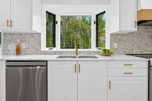 10719 Mapleglen Crescent Se, Calgary, AB - Indoor Photo Showing Kitchen With Double Sink