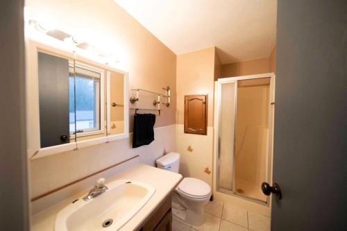 332 11 Avenue, Three Hills, AB - Indoor Photo Showing Bathroom